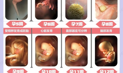 怀孕期间肝功能指数77u算高吗网- 孕妇肝功能180正常吗知识,分享怀孕肝功能100多
